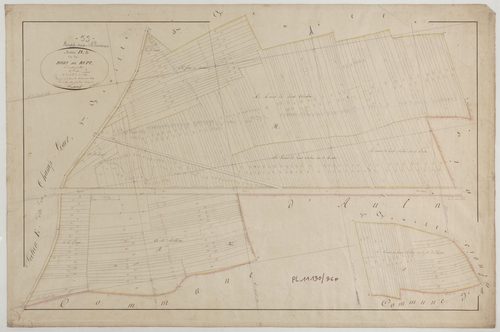 RUPT-AUX-NONAINS - Section D des Bois de Rupt feuille 04