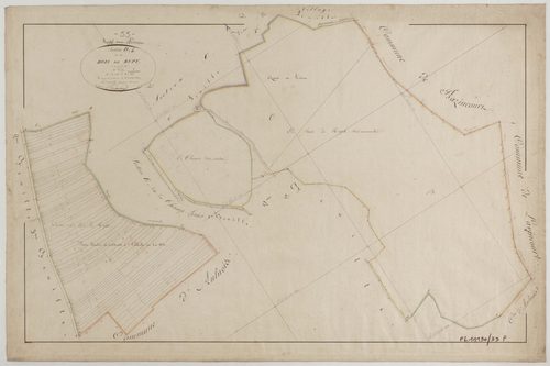 RUPT-AUX-NONAINS - Section D des Bois de Rupt feuille 01