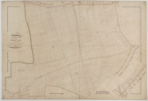 RUPT-AUX-NONAINS - Section F du grand Bois feuille 03