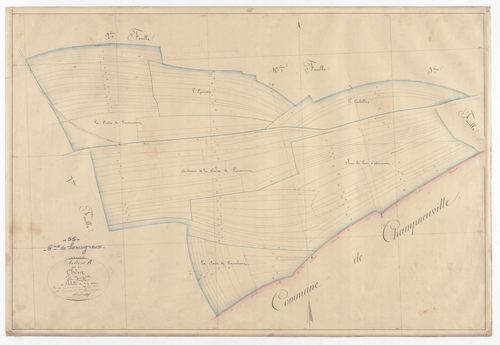 SAMOGNEUX - Section B - du Chêne - feuille 06