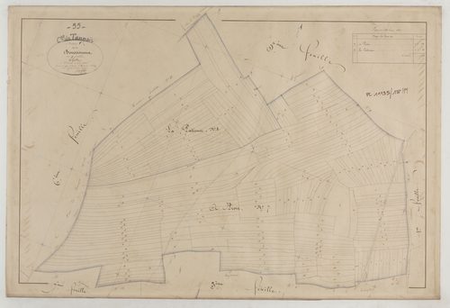 TANNOIS - Section C de Boussomma feuille 04