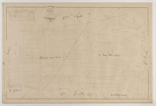 TANNOIS - Section D de la Perrière feuille 05