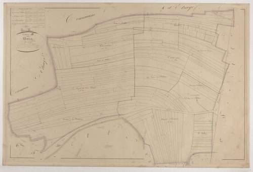 WAVRILLE - Section B - des Bois - feuille 05