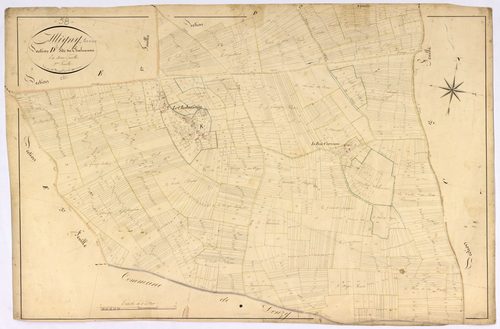 Alligny-Cosne, cadastre ancien : plan parcellaire de la section D dite du Chalumeau, feuille 2