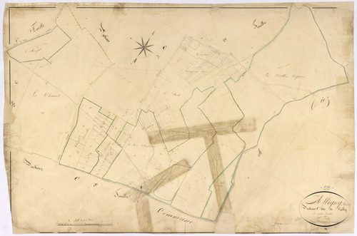 Alligny-Cosne, cadastre ancien : plan parcellaire de la section C dite de Vailly, feuille 2