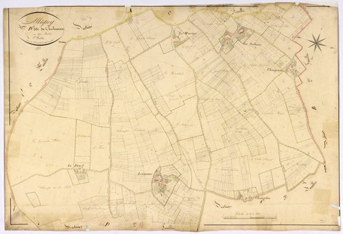 Alligny-Cosne, cadastre ancien : plan parcellaire de la section D dite du Chalumeau, feuille 1