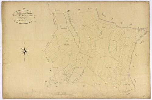 Alligny-en-Morvan, cadastre ancien : plan parcellaire de la section E dite de Montboblin, feuille 2