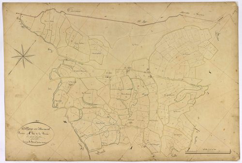 Alligny-en-Morvan, cadastre ancien : plan parcellaire de la section A dite de la Serrée, feuille 3
