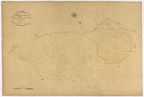 Alligny-en-Morvan, cadastre ancien : plan parcellaire de la section F dite de Marnay, feuille 5