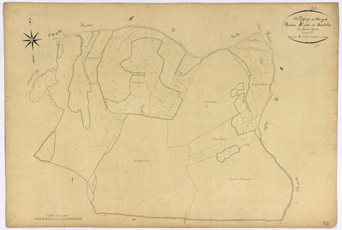 Alligny-en-Morvan, cadastre ancien : plan parcellaire de la section E dite de Montboblin, feuille 3