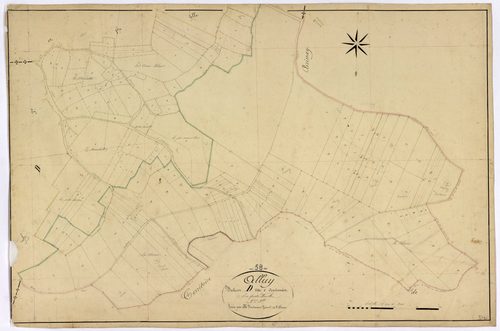 Alluy, cadastre ancien : plan parcellaire de la section D dite d'Andenat, feuille 2
