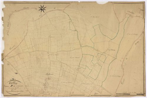 Alluy, cadastre ancien : plan parcellaire de la section D dite d'Andenat, feuille 1