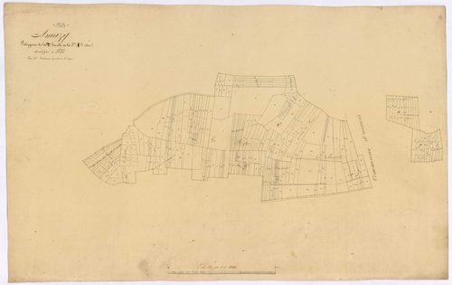 Amazy, cadastre ancien : plan parcellaire de la section A dite de Saligny, feuille 2, développement