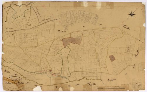 Anthien, cadastre ancien : plan parcellaire de la section C dite des Bordes, feuille 2
