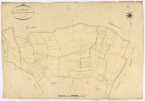 Arbourse, cadastre ancien : plan parcellaire de la section C dite du Château d'Arbourse, feuille 1