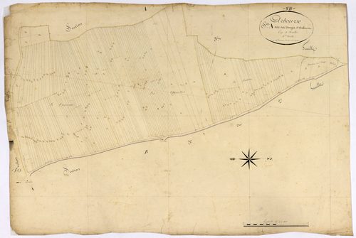 Arbourse, cadastre ancien : plan parcellaire de la section A dite des Usages d'Arbourse, feuille 4