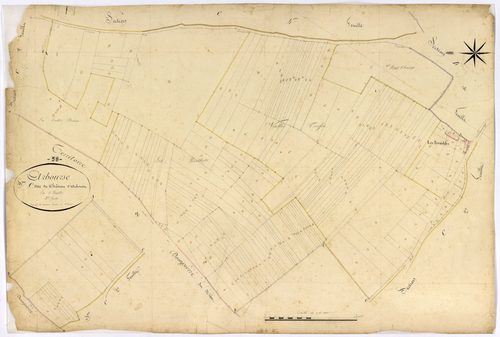 Arbourse, cadastre ancien : plan parcellaire de la section C dite du Château d'Arbourse, feuille 3