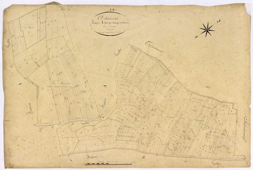 Arbourse, cadastre ancien : plan parcellaire de la section A dite des Usages d'Arbourse, feuille 1