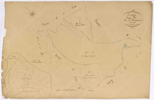 Arleuf, cadastre ancien : plan parcellaire de la section C dite des Trinquets, feuille 4