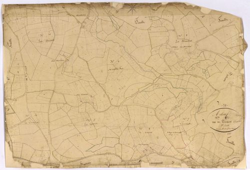 Arleuf, cadastre ancien : plan parcellaire de la section C dite des Trinquets, feuille 2