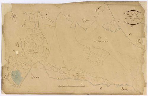 Arleuf, cadastre ancien : plan parcellaire de la section C dite des Trinquets, feuille 6