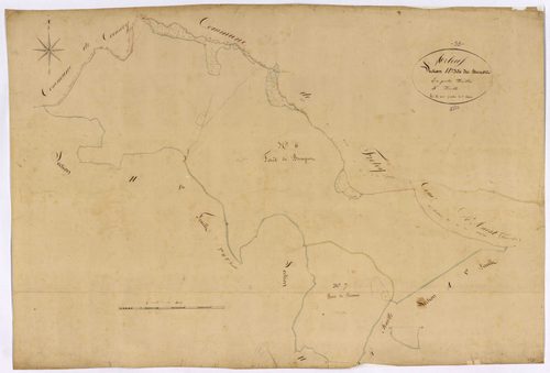 Arleuf, cadastre ancien : plan parcellaire de la section H dite des Brenots, feuille 3