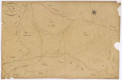 Arleuf, cadastre ancien : plan parcellaire de la section A dite des Paquelins, feuille 1