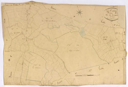 Arleuf, cadastre ancien : plan parcellaire de la section C dite des Trinquets, feuille 3