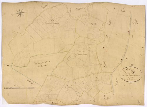 Arleuf, cadastre ancien : plan parcellaire de la section A dite des Paquelins, feuille 3
