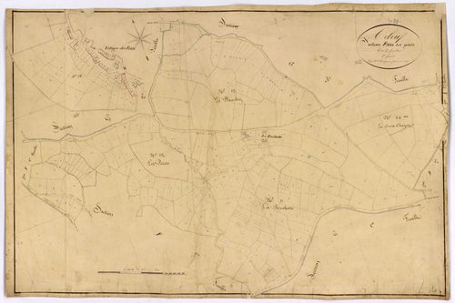 Arleuf, cadastre ancien : plan parcellaire de la section F dite des Petits, feuille 3
