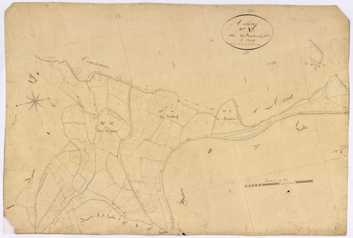 Arleuf, cadastre ancien : plan parcellaire de la section A dite des Paquelins, feuille 5