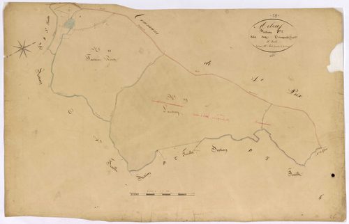Arleuf, cadastre ancien : plan parcellaire de la section C dite des Trinquets, feuille 5