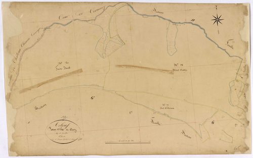 Arleuf, cadastre ancien : plan parcellaire de la section G dite du Chaz, feuille 5