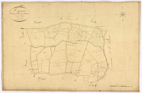 Arquian, cadastre ancien : plan parcellaire de la section C dite de Moussu, feuille 4