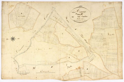 Asnan, cadastre ancien : plan parcellaire de la section C dite des Carelles