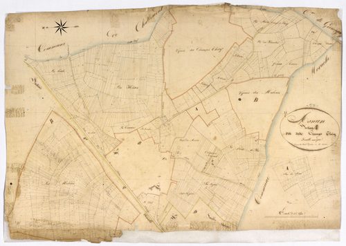 Asnan, cadastre ancien : plan parcellaire de la section A dite des Champs Théry