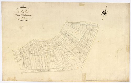 Asnois, cadastre ancien : plan parcellaire de la section C dite de Sermentole, développement
