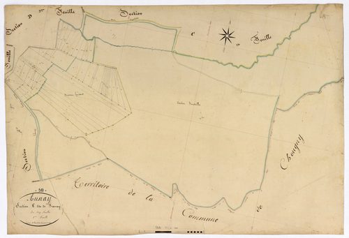 Aunay-en-Bazois, cadastre ancien : plan parcellaire de la section C dite de Franay, feuille 5