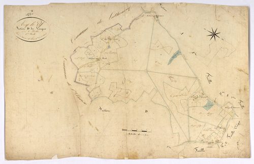 Azy-le-Vif, cadastre ancien : plan parcellaire de la section D dite de Lorgue, feuille 2