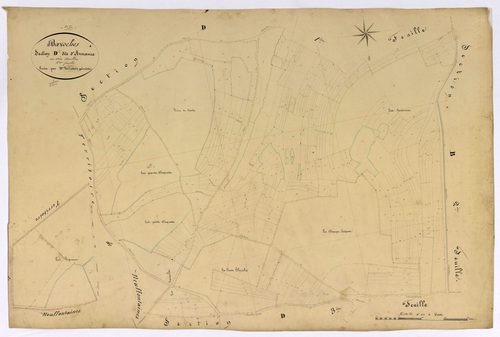 Bazoches, cadastre ancien : plan parcellaire de la section D dite d'Armance, feuille 2