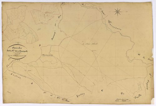 Bazoches, cadastre ancien : plan parcellaire de la section C dite de Champignolle, feuille 1
