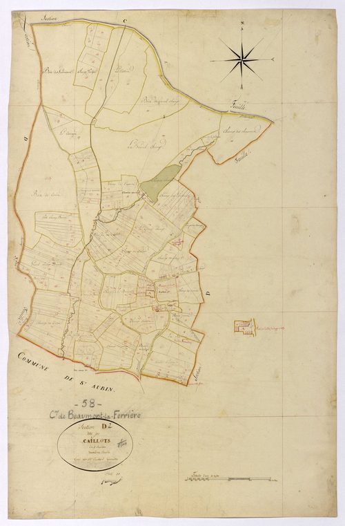 Beaumont-la-Ferrière, cadastre ancien : plan parcellaire de la section D dite des Caillots, feuille 2