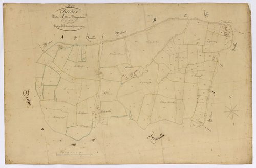 Biches, cadastre ancien : plan parcellaire de la section A dite de Maupertuis, feuille 3