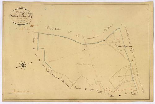 Billy-sur-Oisy, cadastre ancien : plan parcellaire de la section C dite du Fey, feuille 1