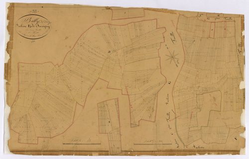 Billy-sur-Oisy, cadastre ancien : plan parcellaire de la section F dite de Savigny, feuille 1