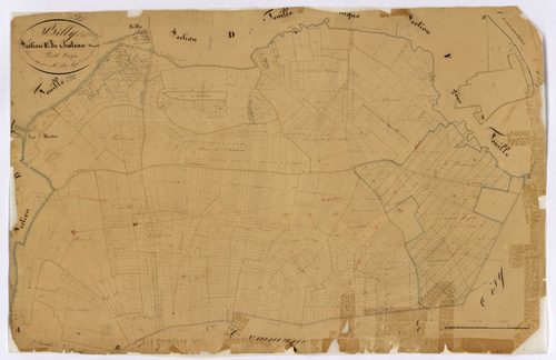 Billy-sur-Oisy, cadastre ancien : plan parcellaire de la section E dite de Château Muzard
