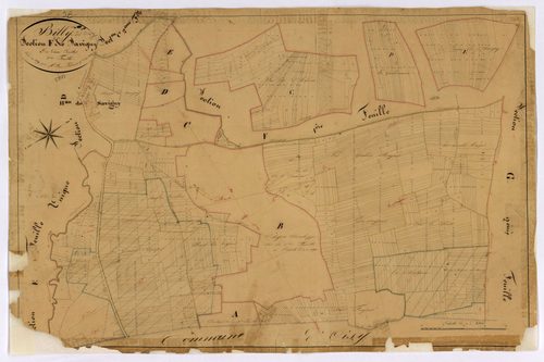Billy-sur-Oisy, cadastre ancien : plan parcellaire de la section F dite de Savigny, feuille 2