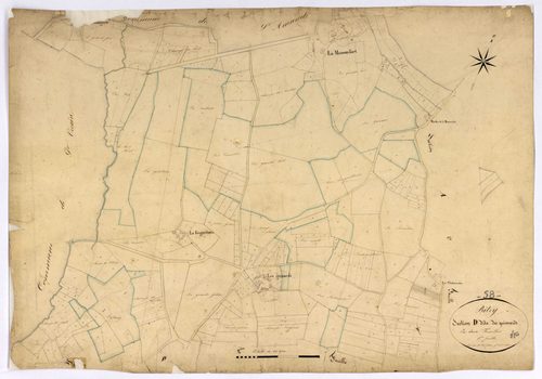 Bitry, cadastre ancien : plan parcellaire de la section D dite des Guimards, feuille 1