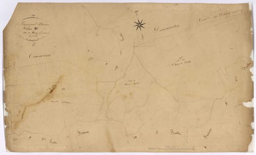 Blismes, cadastre ancien : plan parcellaire de la section D dite de Bussy, feuille 3