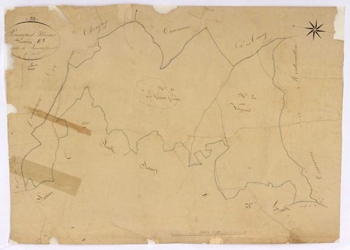 Blismes, cadastre ancien : plan parcellaire de la section E dite de Quincize, feuille 5
